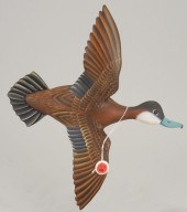 HALF-SIZE RUDDY DUCK DRAKE IN
