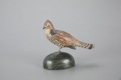 HALF-SIZE RUFFED GROUSEA. Elme