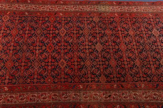 HAMADAN RUG.