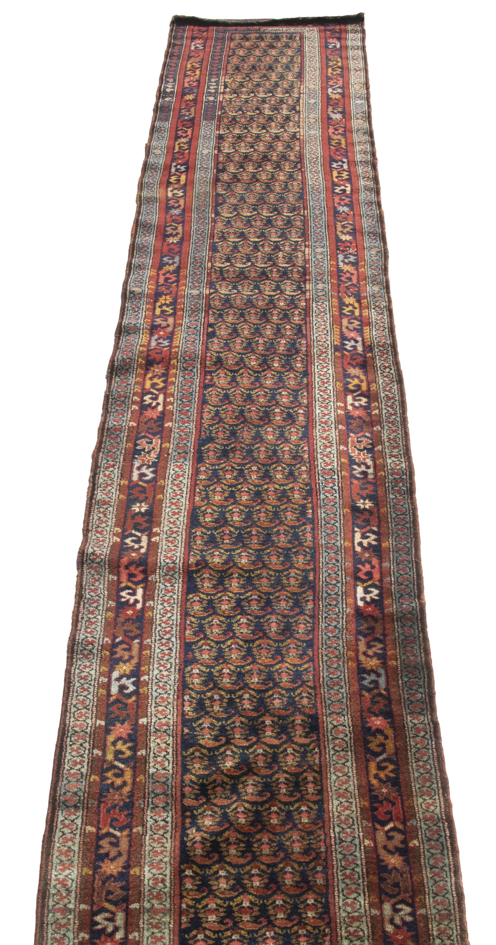HAMADAN RUNNER (3'2" X 16')
