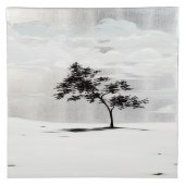 HAMILTON AGUIAR. "CEDAR IN SUN
