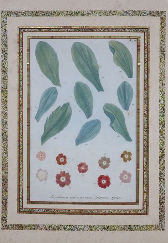 HAND COLORED ENGRAVING