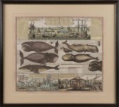 HAND-COLORED ENGRAVING "BALAEN