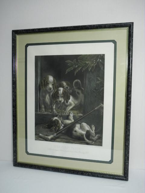 Hand colored engraving by Alfred
