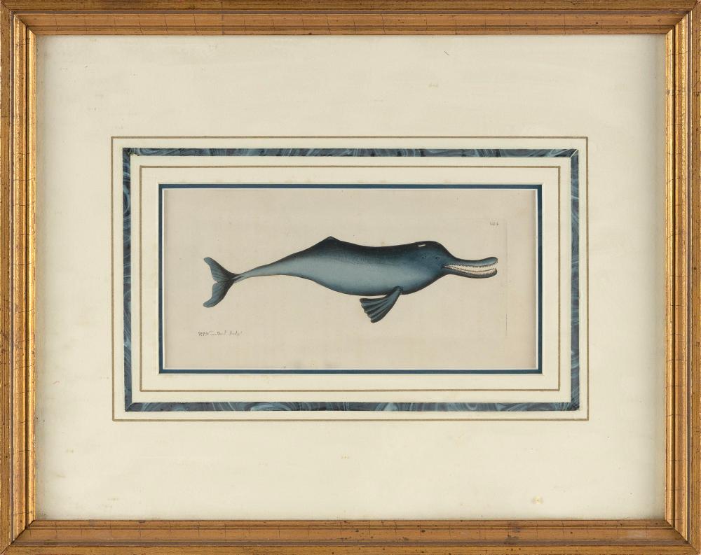 HAND-COLORED ENGRAVING OF AN
