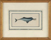 HAND-COLORED ENGRAVING OF AN I