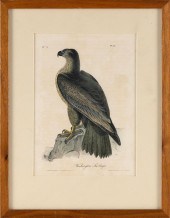 HAND-COLORED LITHOGRAPH AFTER