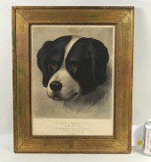 HAND COLORED LITHOGRAPH "BRUIN