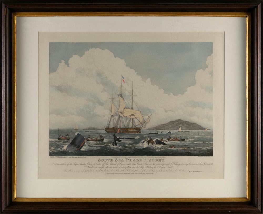 HAND-COLORED PRINT “SOUTH SEA WHALE