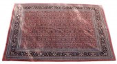 HAND-TIED BIJAR RUG, INDIA, 14