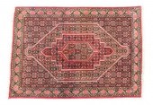 HAND-TIED PERSIAN BIDGENEH RUG