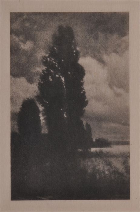 HANS WATZEK (1843-1908): POPLARS