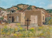 HARLAN LIZER, NEW MEXICO PENIT