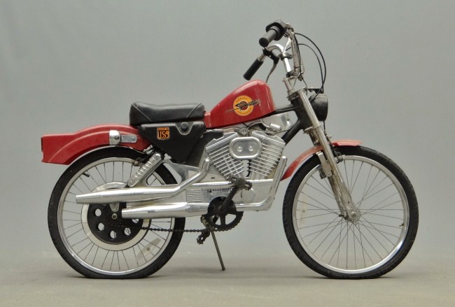 Harley Davidson Sportster 20''.