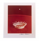 HAROLD E. EDGERTON (MA/NE, 190