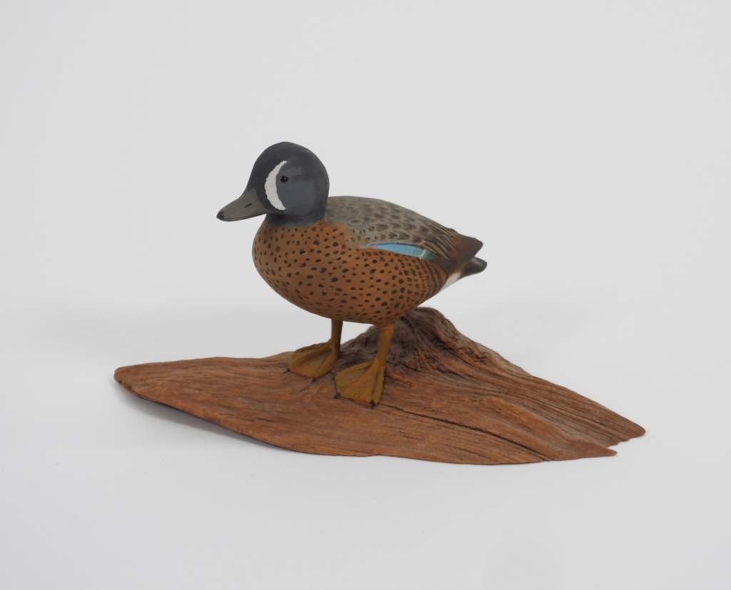 HAROLD GIBBS BLUE WINGED TEAL