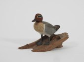 HAROLD GIBBS GREEN WINGED TEAL