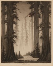 HAROLD LUKENS DOOLITTLE (1883-