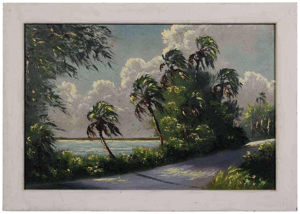 Harold Newton (Florida,