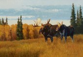 HAROLD STACK, (B. 1967), "ALON