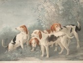 HARRIERS, AFTER JAKOB HACKERT