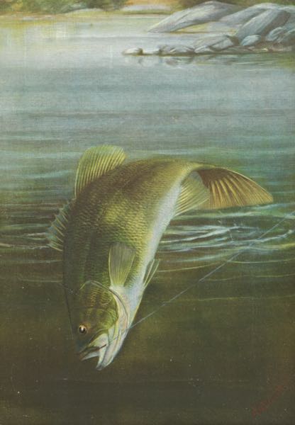 HARRY A. DRISCOLE (AMERICAN, 1861 -