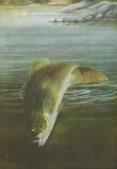 HARRY A. DRISCOLE (AMERICAN, 1