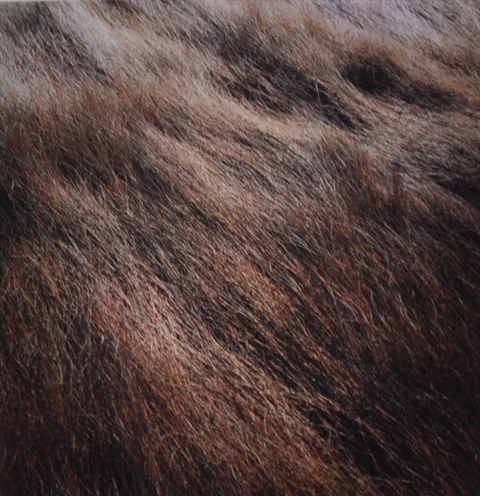 HARRY CALLAHAN (1912-1999):
