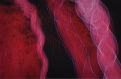 HARRY CALLAHAN (1912-1999): LI