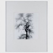HARRY CALLAHAN (1912-1999): MU