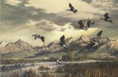 HARRY CURIEUX ADAMSON (1916-20