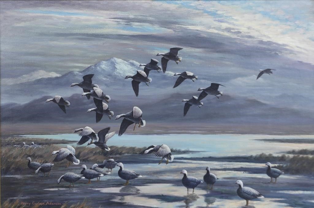 HARRY CURIEUX ADAMSON