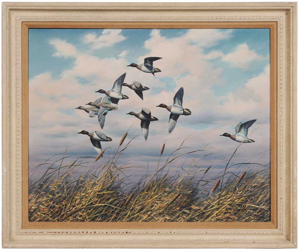 Harry Curieux Adamson