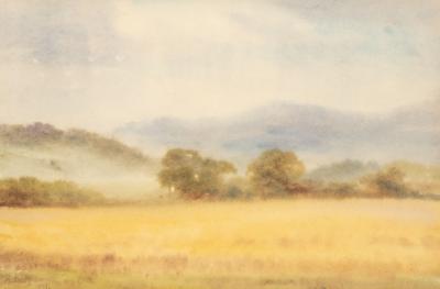 Harry Davis (1885-1970)/Sunbeams