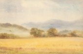 Harry Davis (1885-1970)/Sunbea
