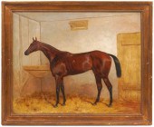 HARRY HALL 'GLADIATOR' HORSE O