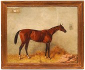 HARRY HALL 'LORD LYON' HORSE O