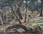 HARRY RUSSELL BALLINGER (AMERI
