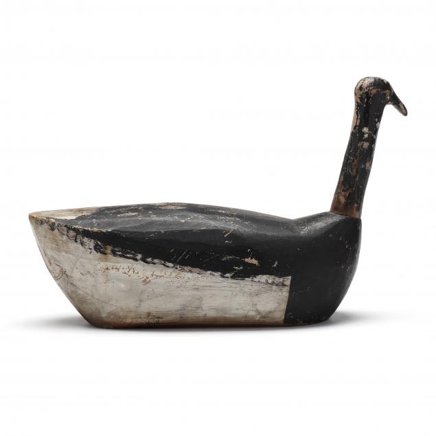 HATTERAS ROOT HEAD BRANT, DR.