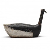 HATTERAS ROOT HEAD BRANT, DR.