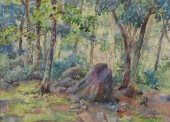 HATTIE SAUSSY, FOREST LANDSCAP
