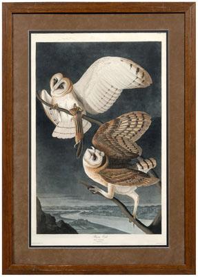 Havell Edition Audubon print