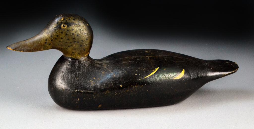 Hays Factory Black Duck