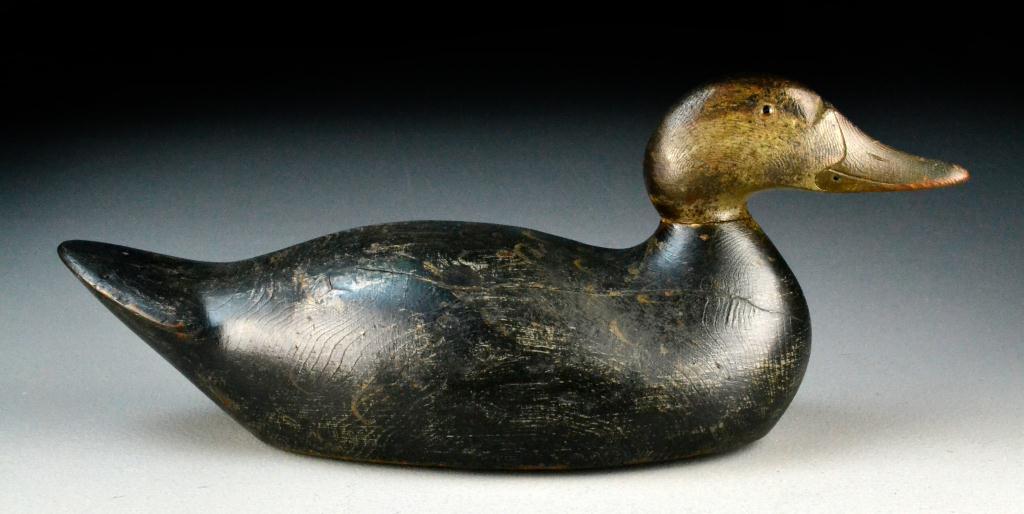 Hays Factory Black Duck Grand