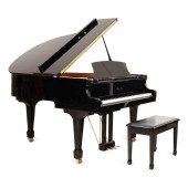 HAZELTON BROTHERS EBONY BABY G
