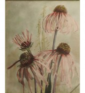 Helen Augusta Iserman Francis