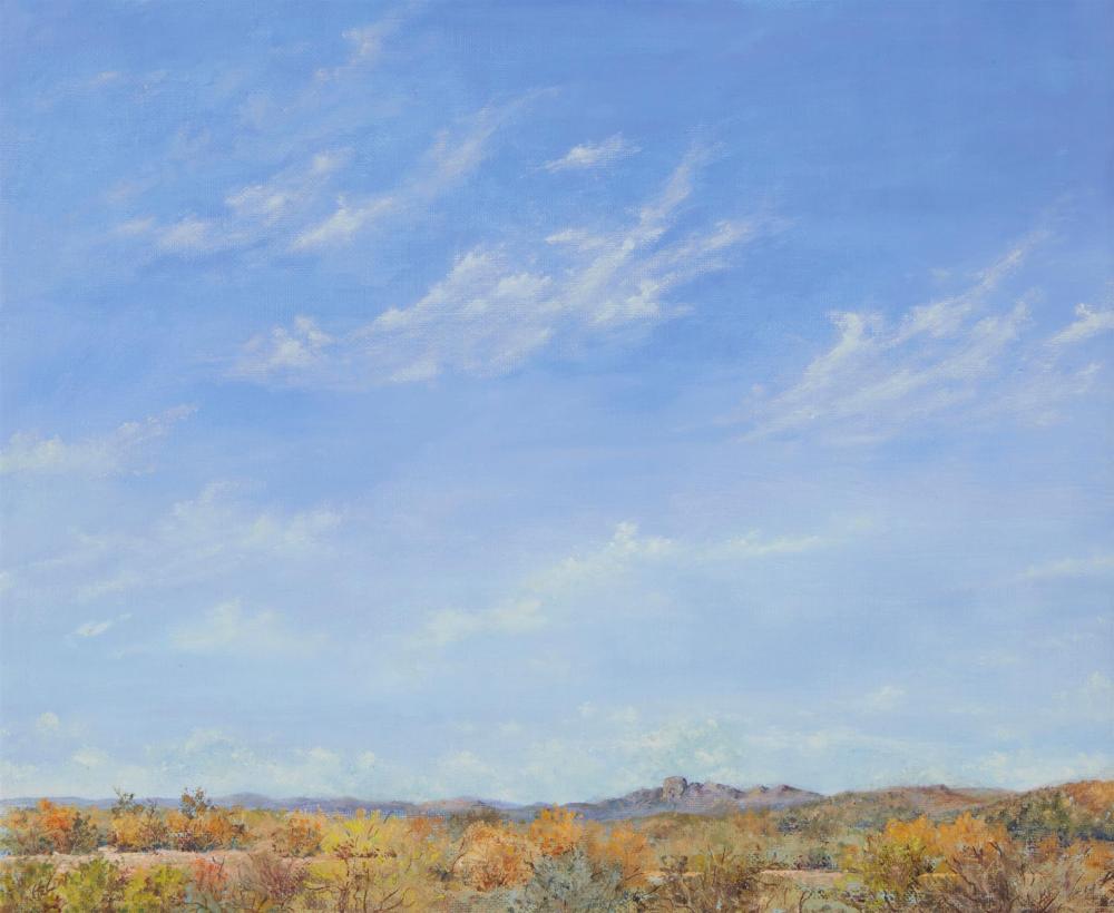HELEN CADY, (20TH/21ST CENTURY,