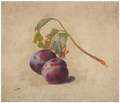 Helen Searle oil sketch (Helen L.