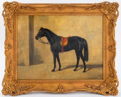 HENRI BRAUN EQUESTRIAN OIL PAI