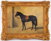 HENRI BRAUN EQUESTRIAN OIL PAI
